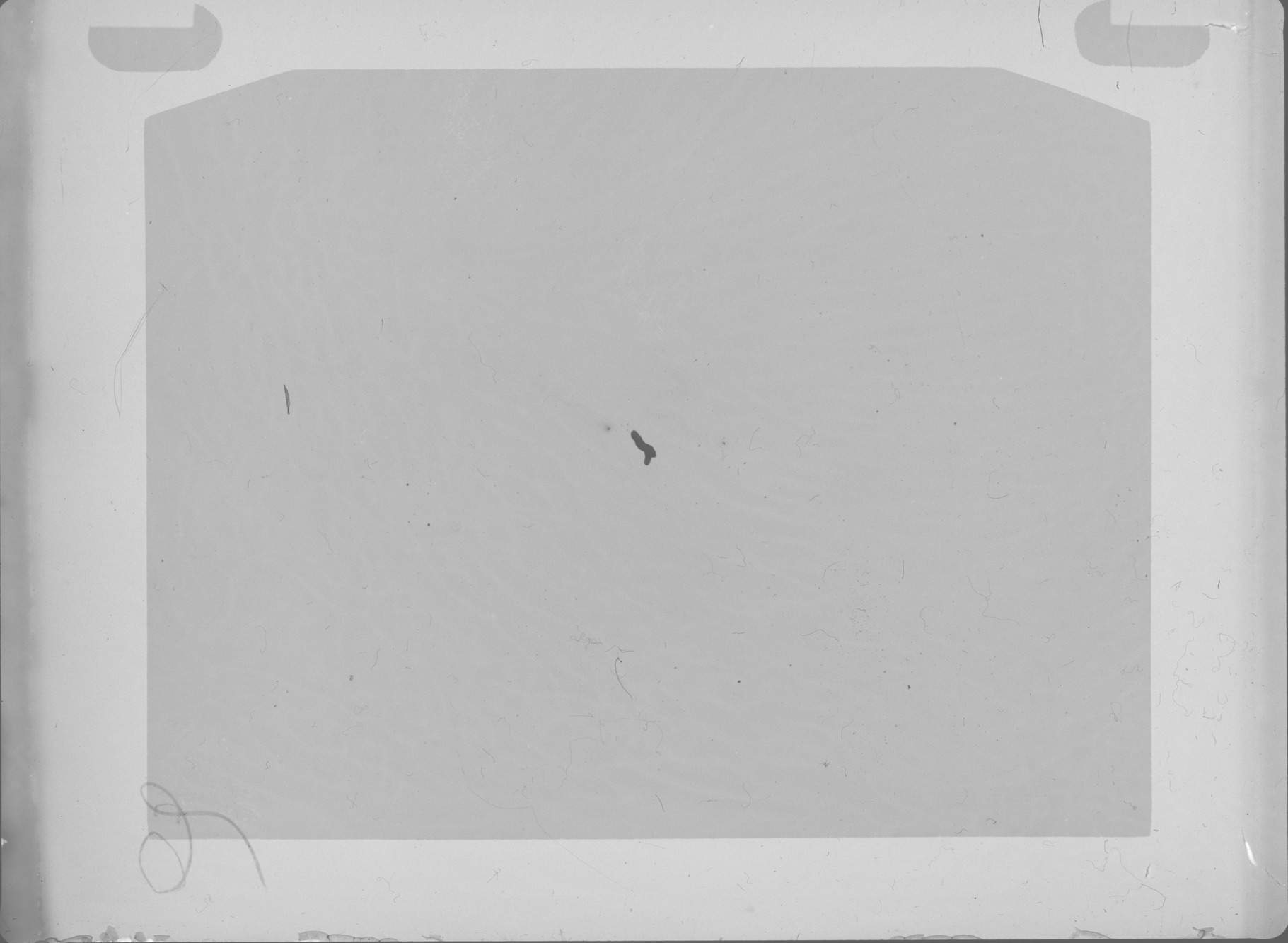 Plate preview
