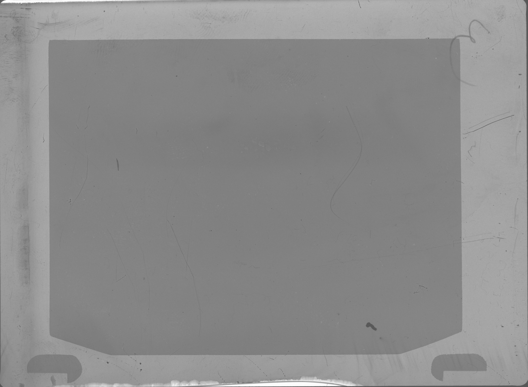 Plate preview
