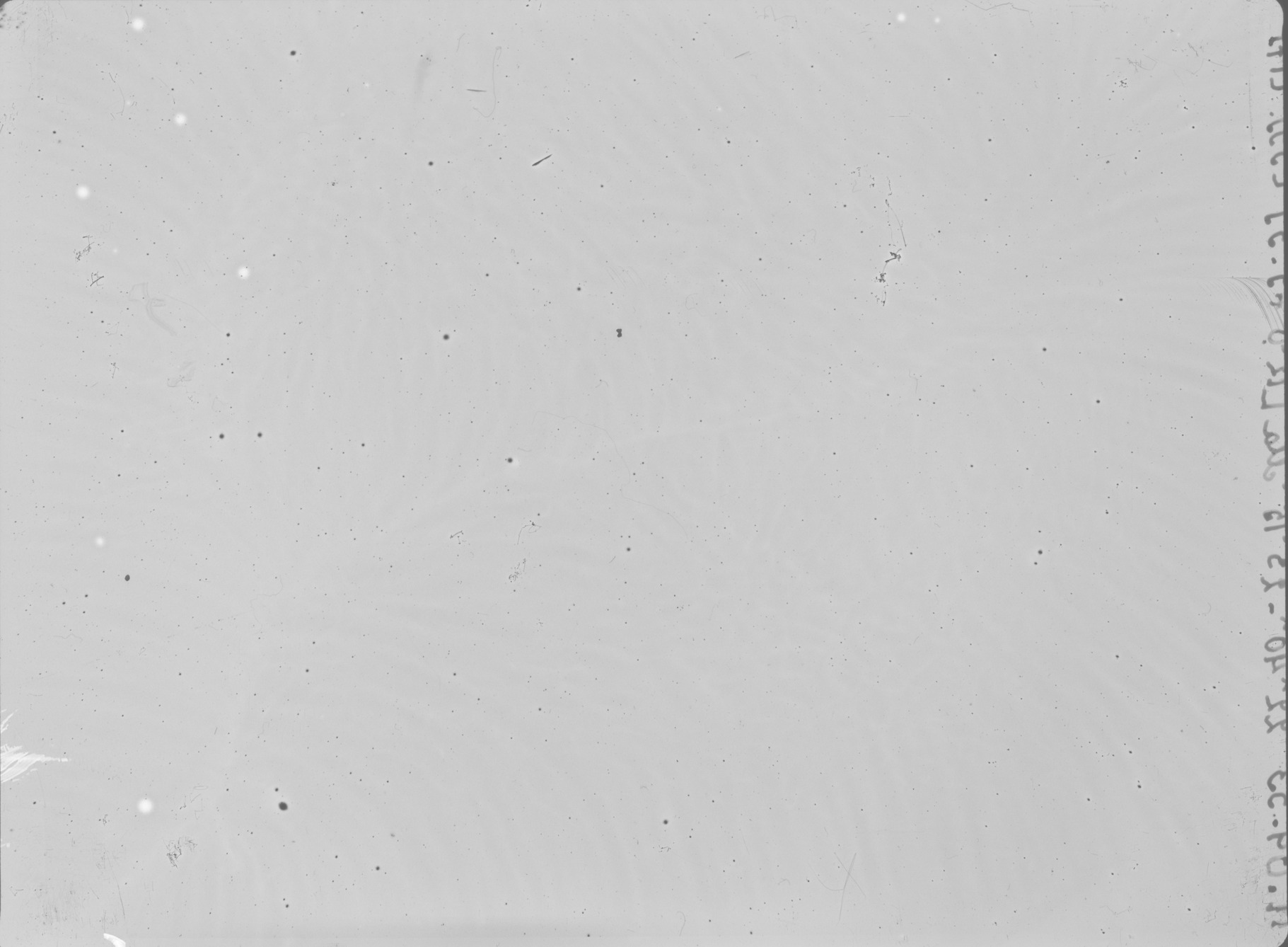 Plate preview