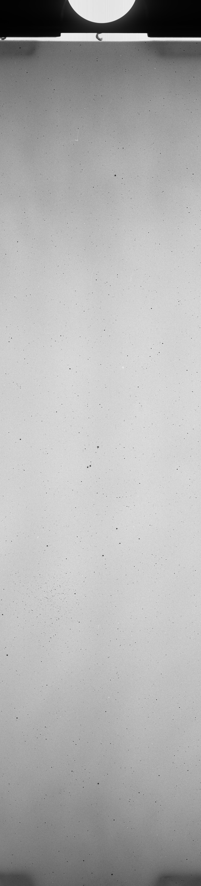 Plate preview