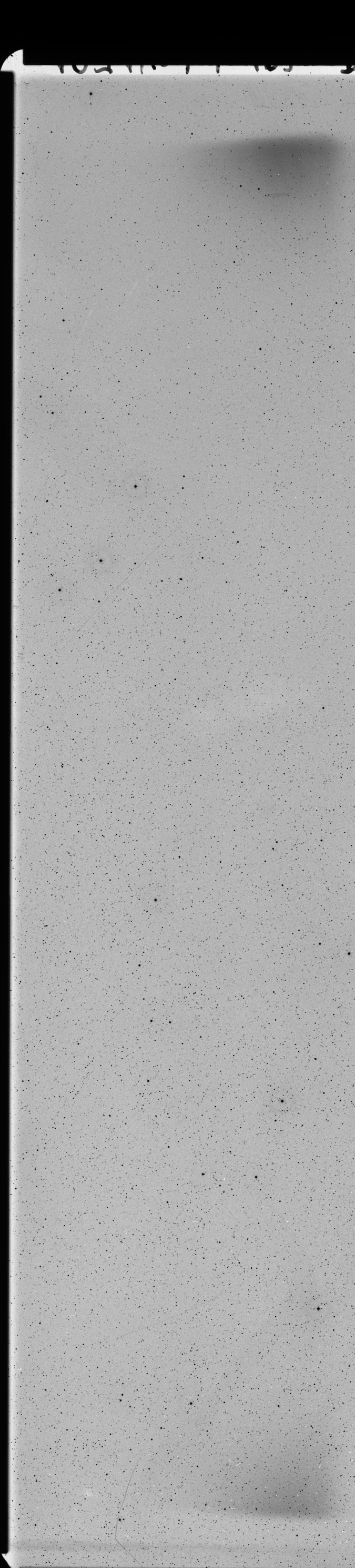 Plate preview