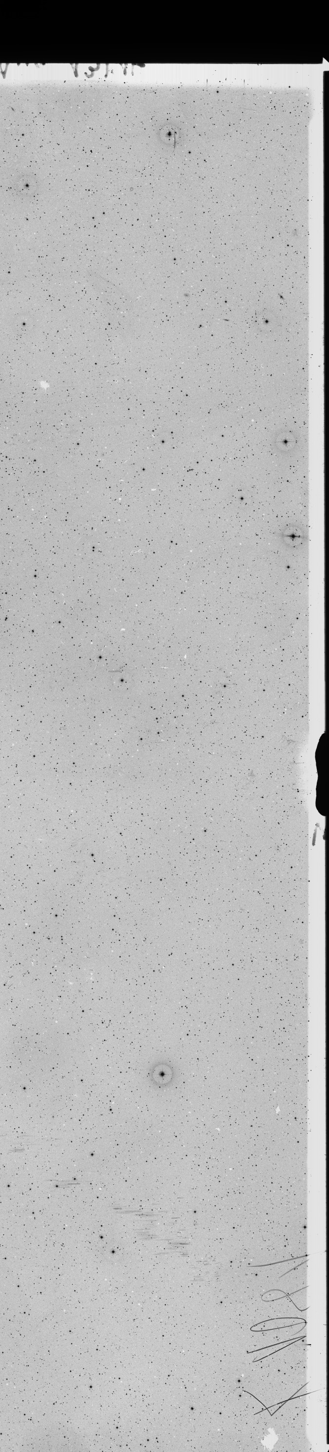 Plate preview