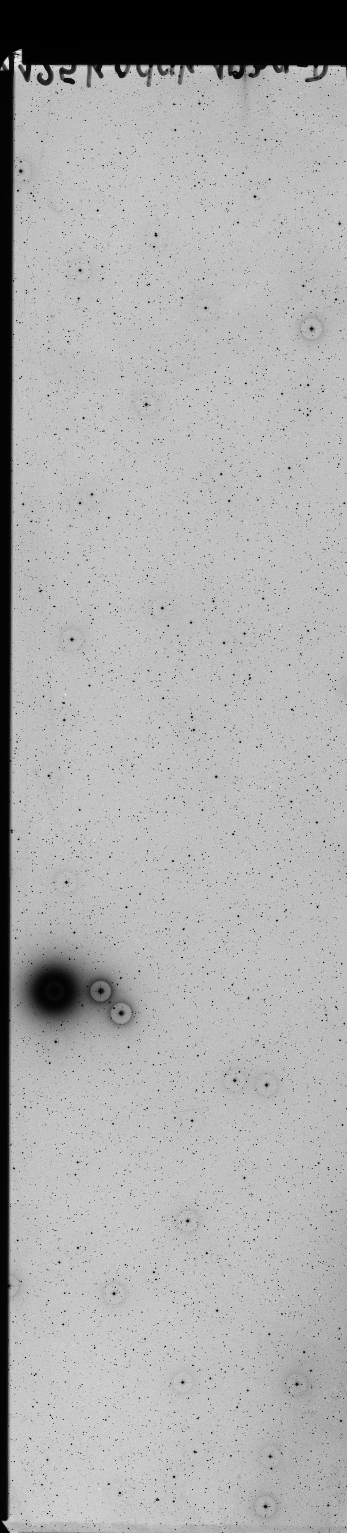 Plate preview