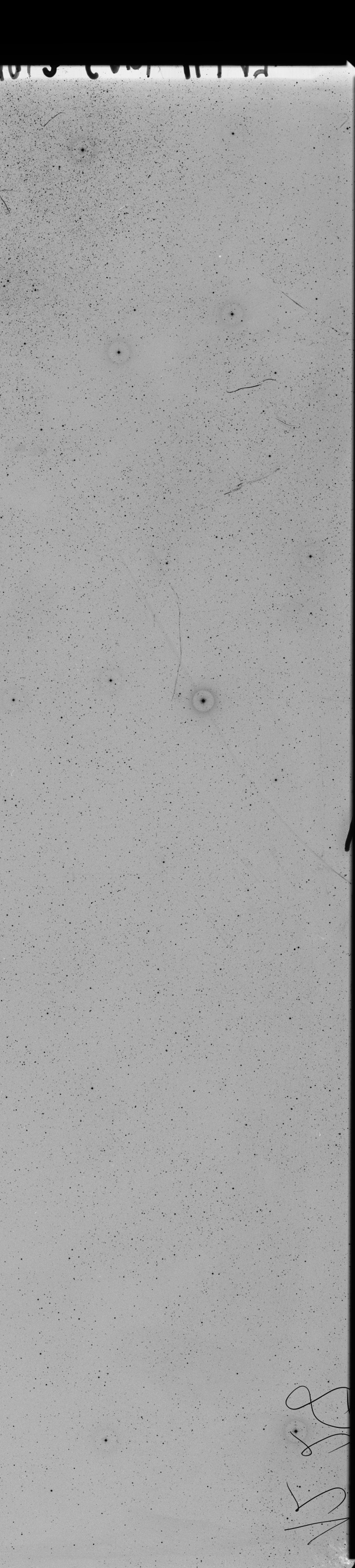 Plate preview