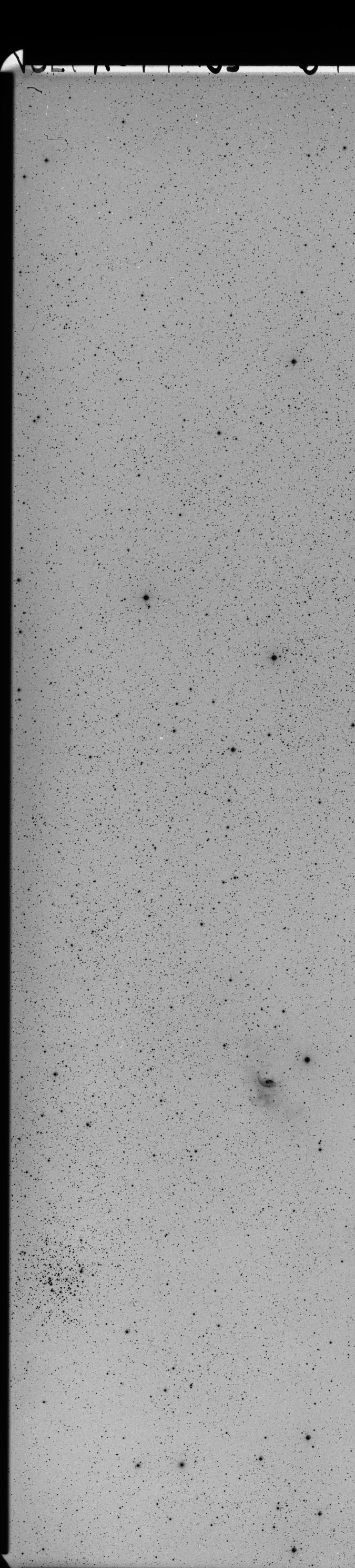 Plate preview