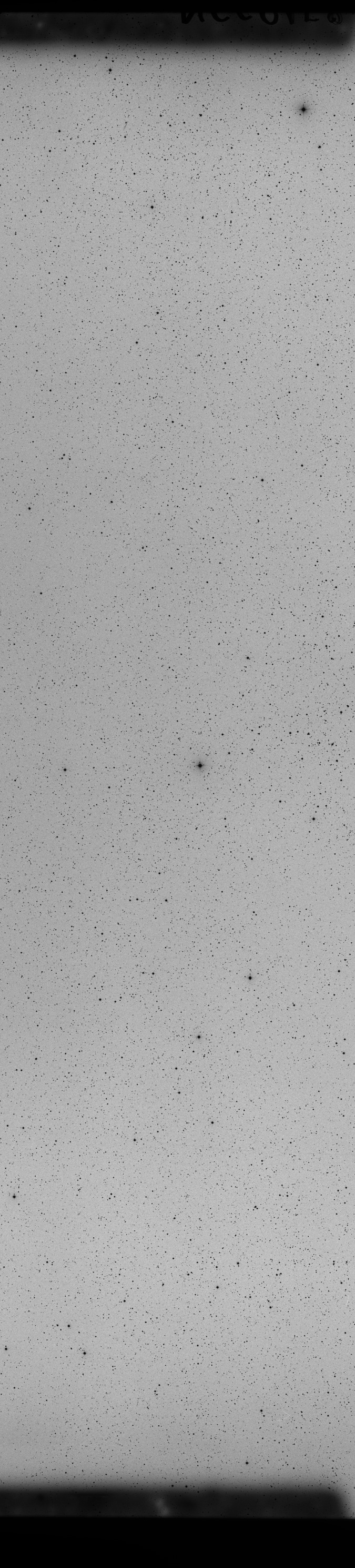 Plate preview