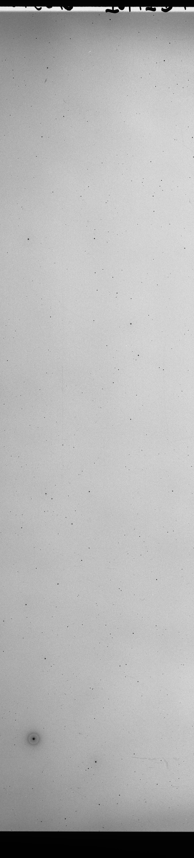 Plate preview