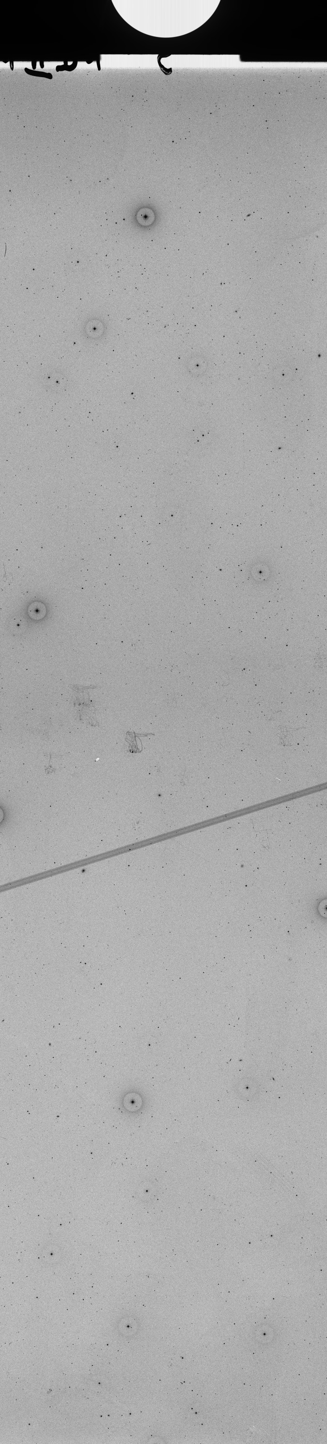 Plate preview