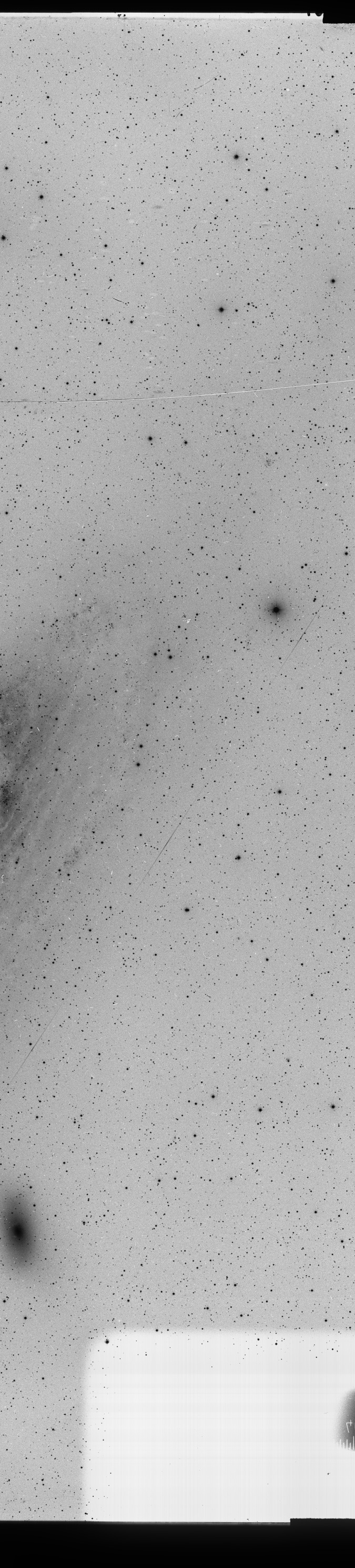 Plate preview