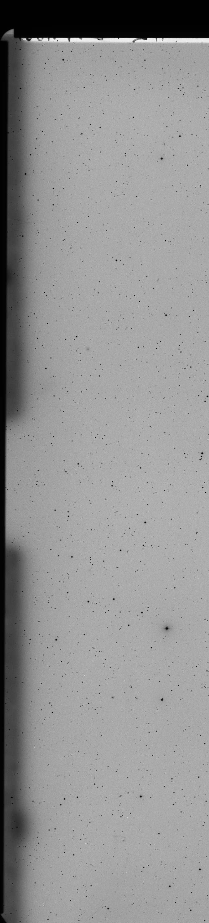 Plate preview