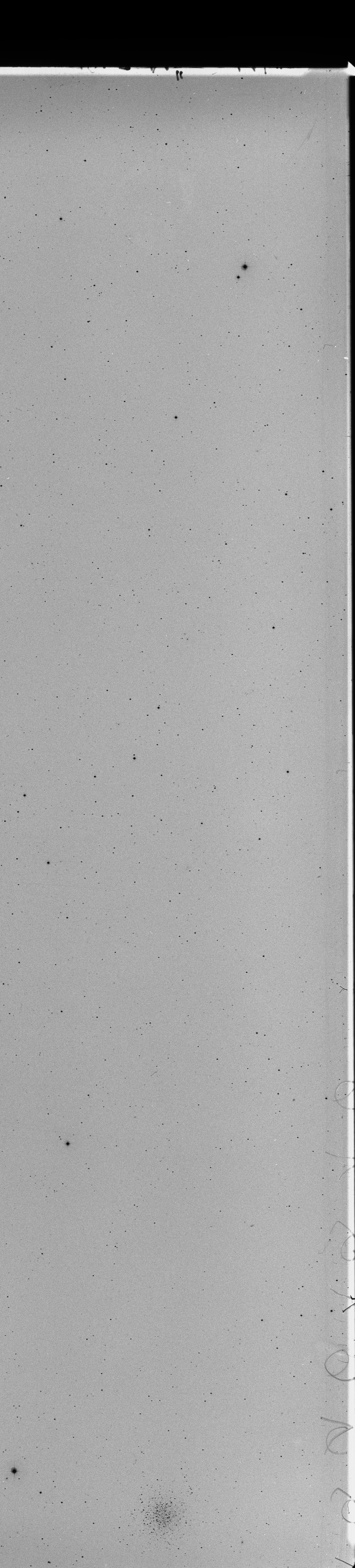 Plate preview