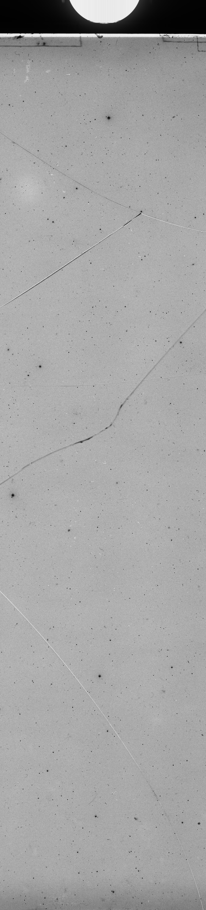 Plate preview