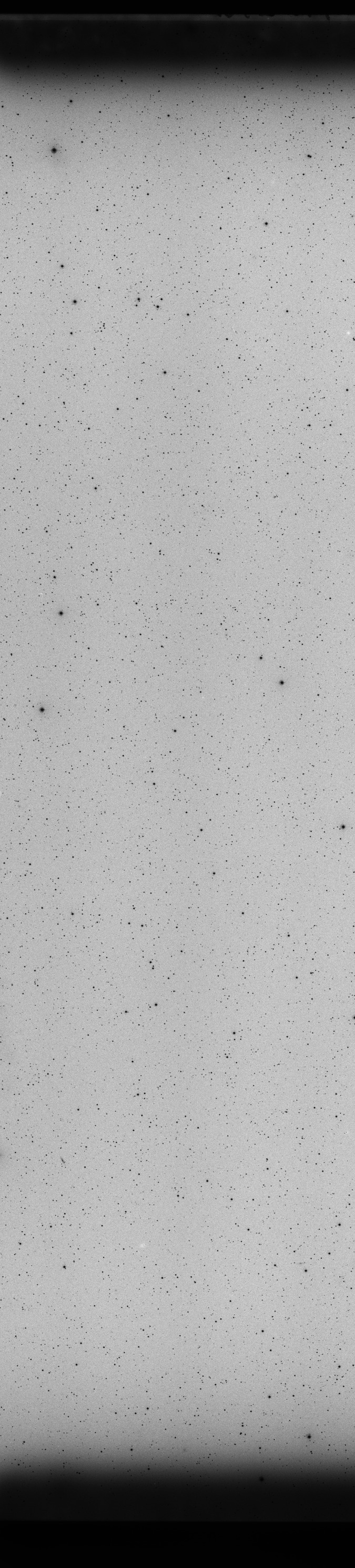 Plate preview