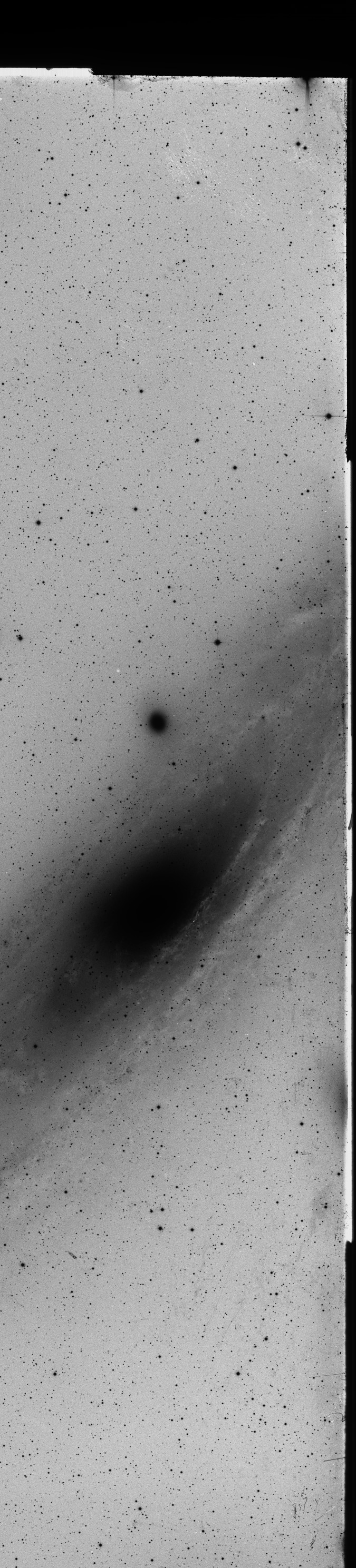Plate preview