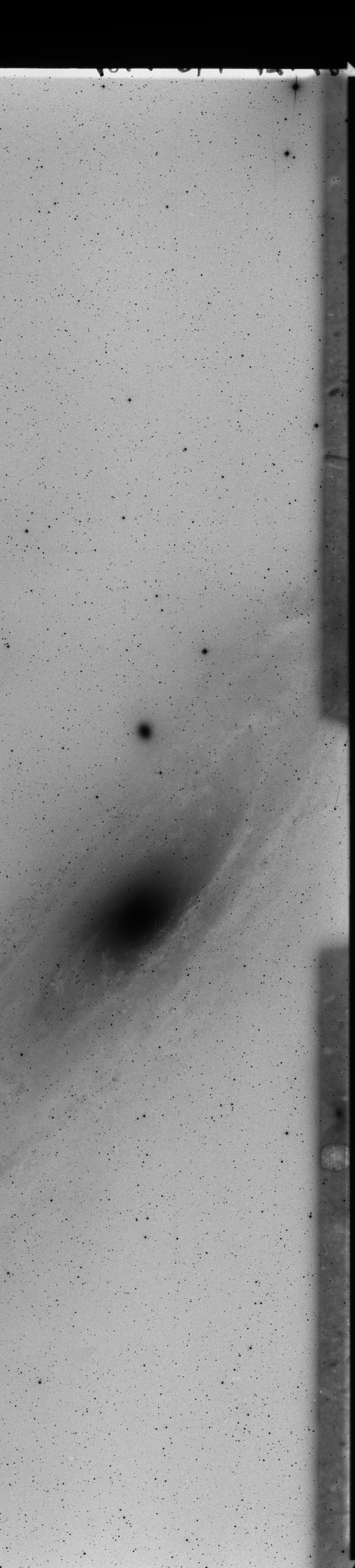 Plate preview