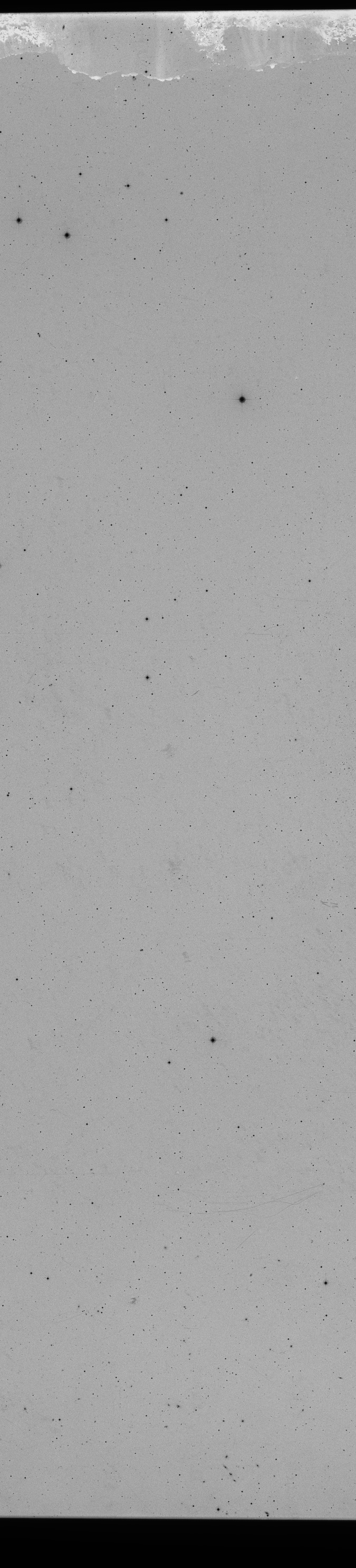 Plate preview