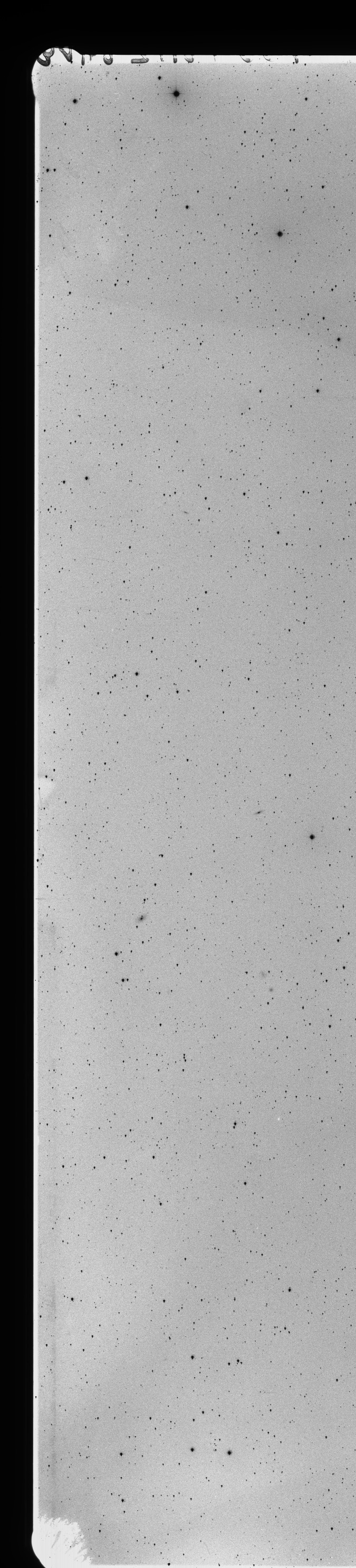 Plate preview
