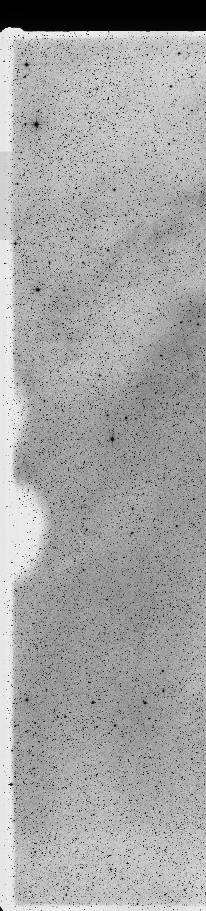 Plate preview