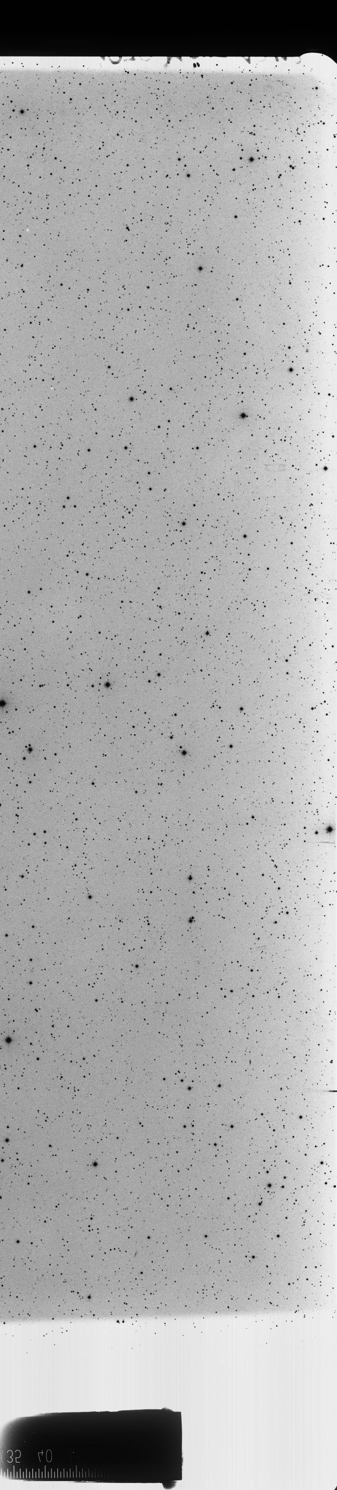 Plate preview