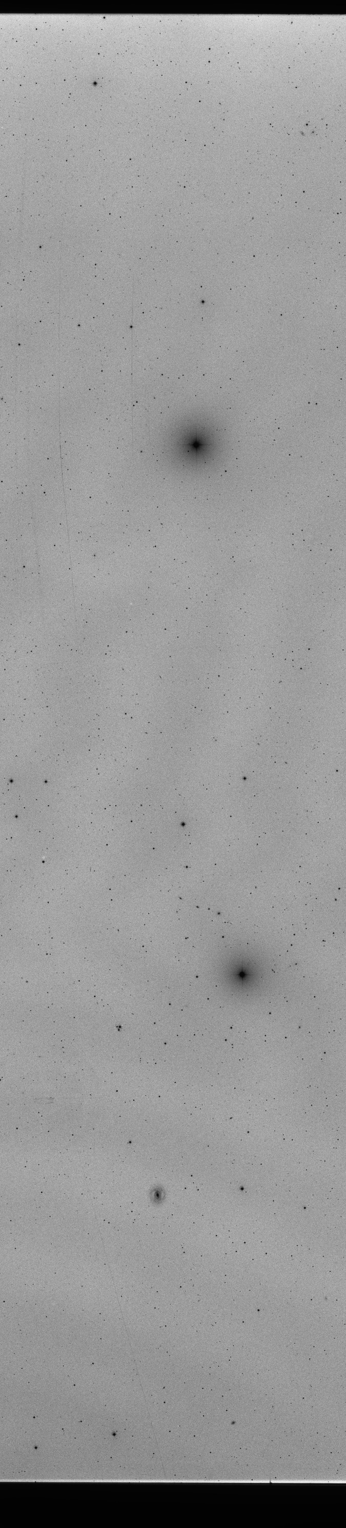 Plate preview