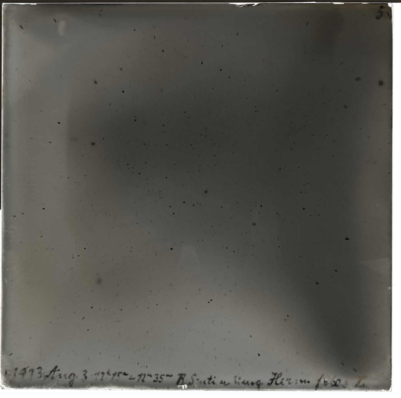 Plate preview