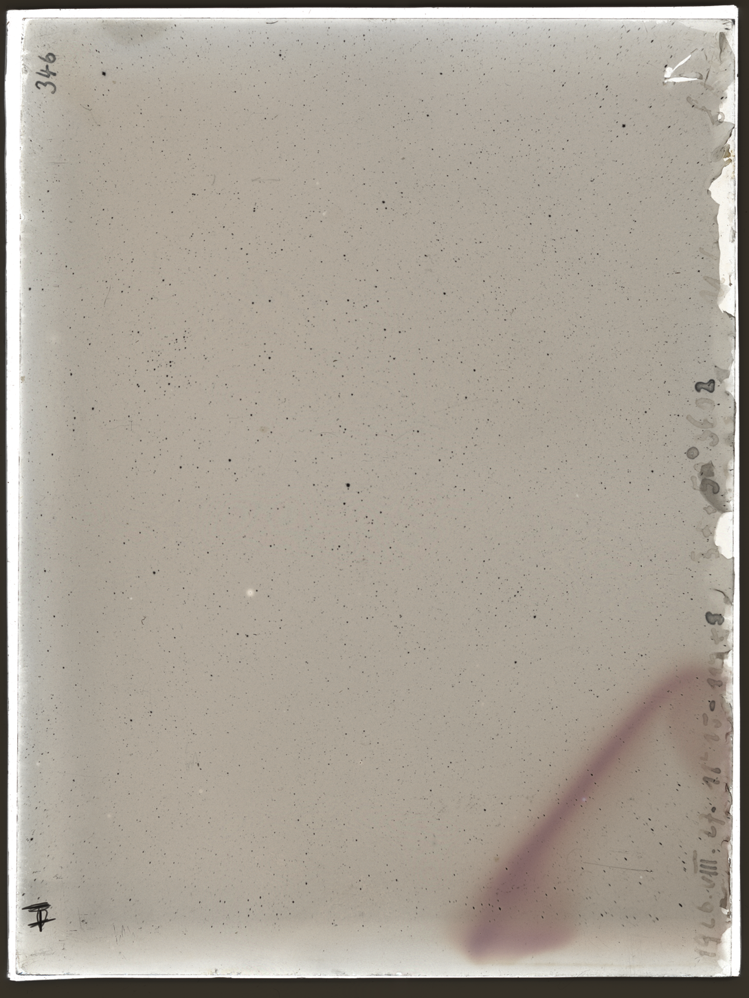 Plate preview