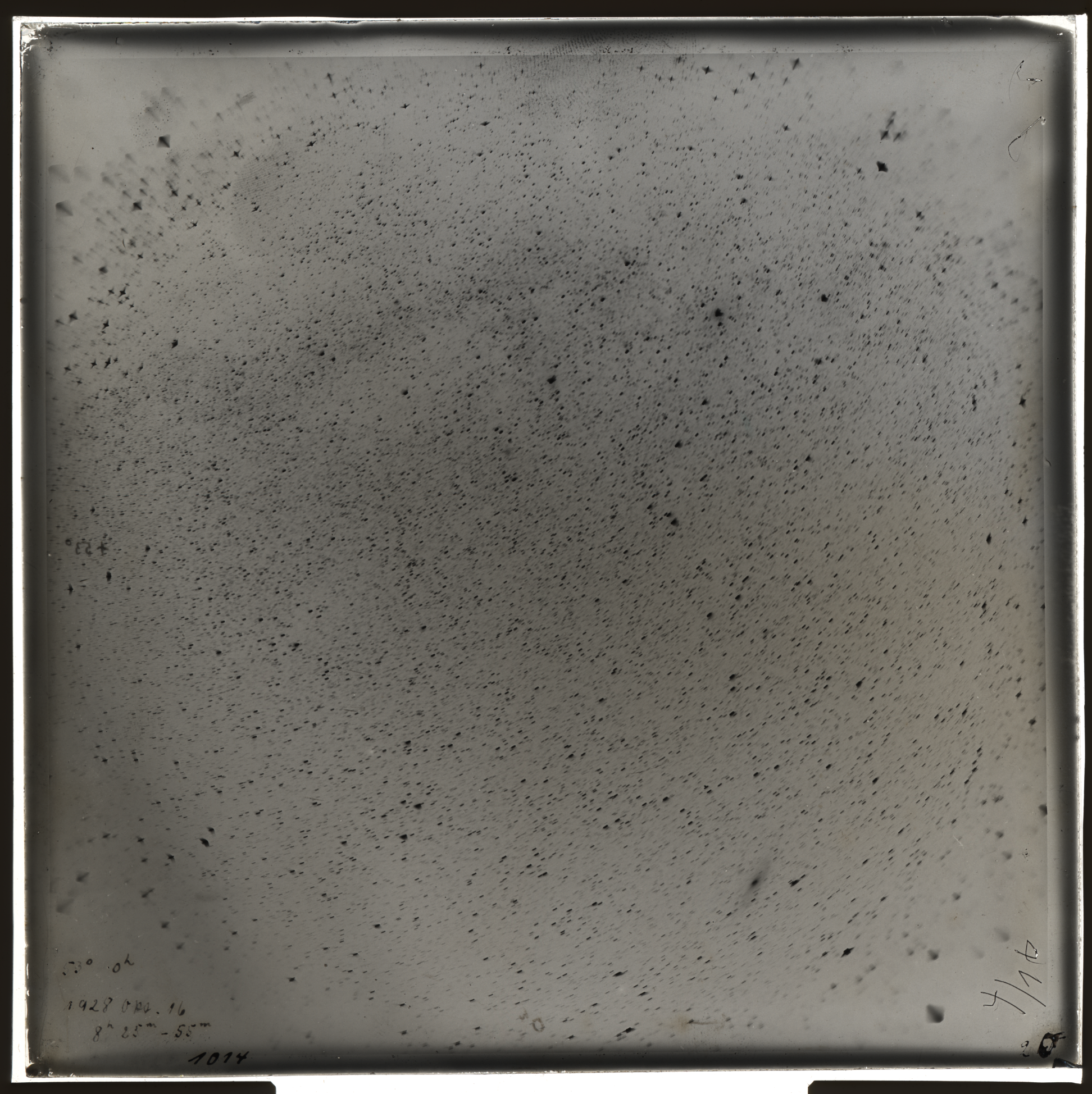 Plate preview