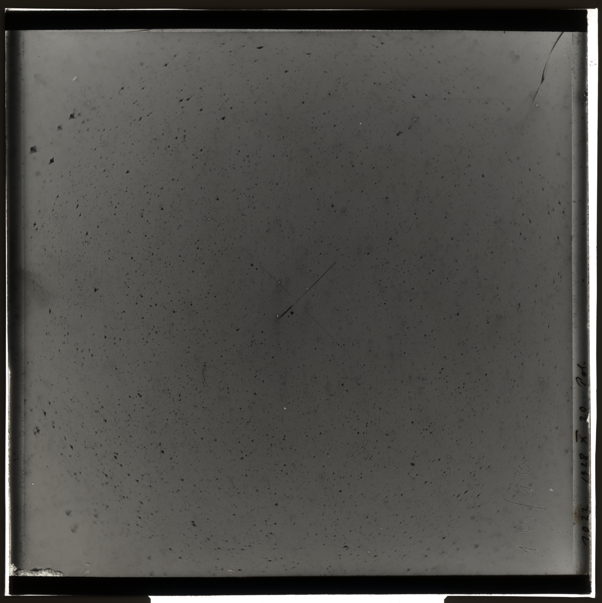 Plate preview
