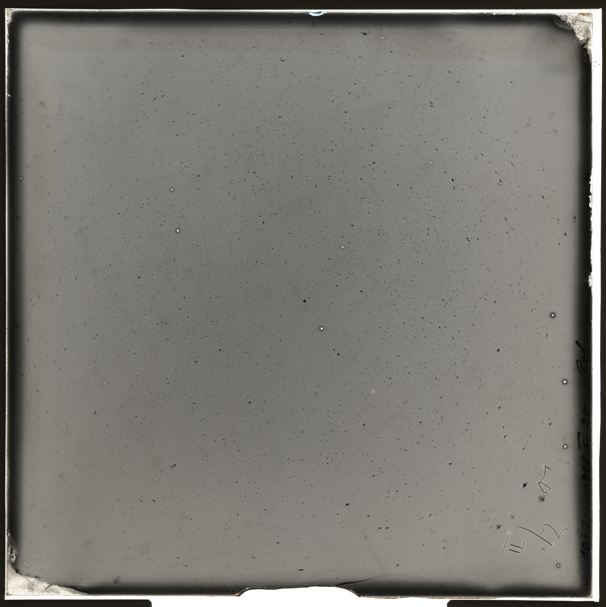Plate preview