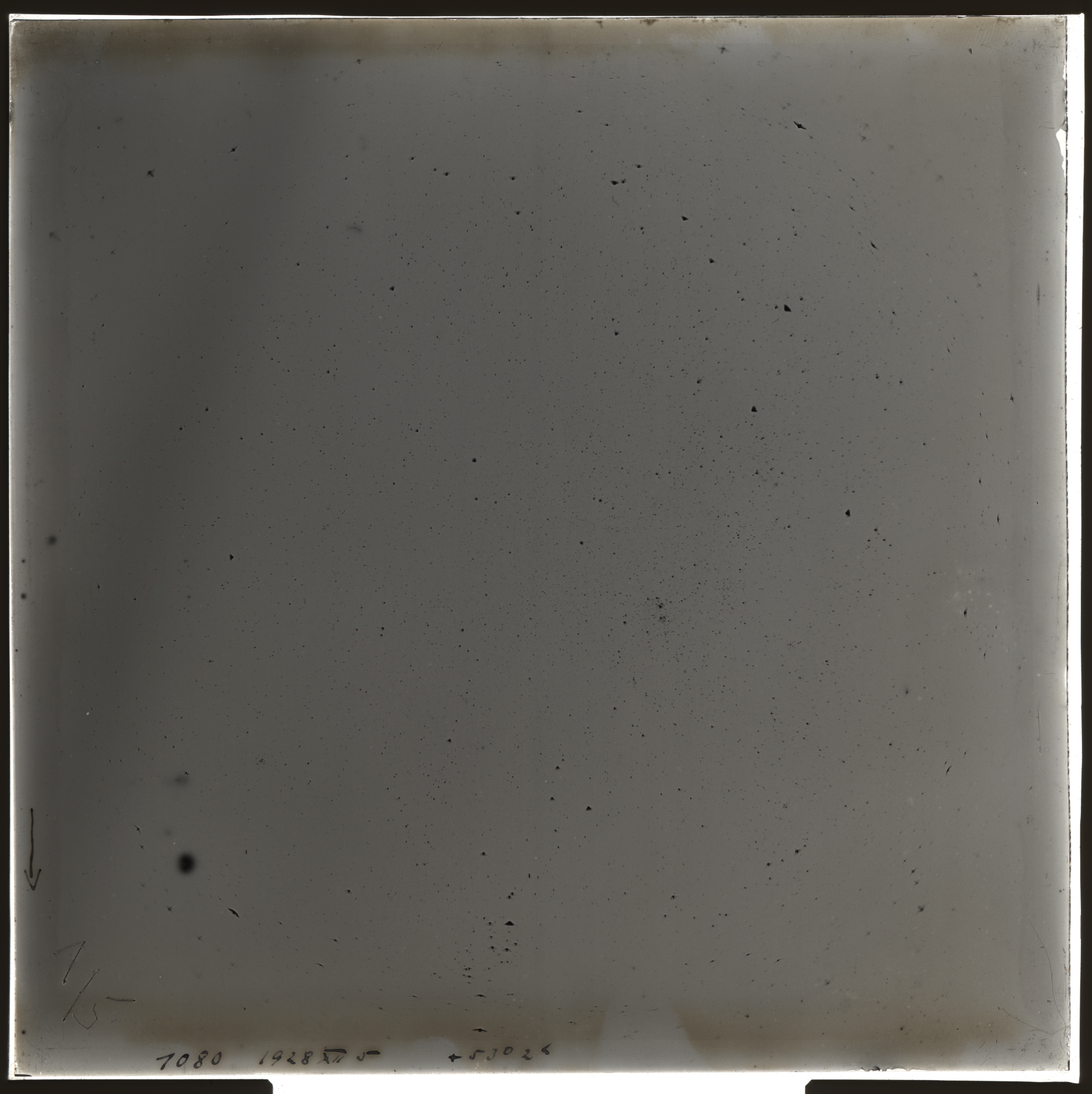 Plate preview