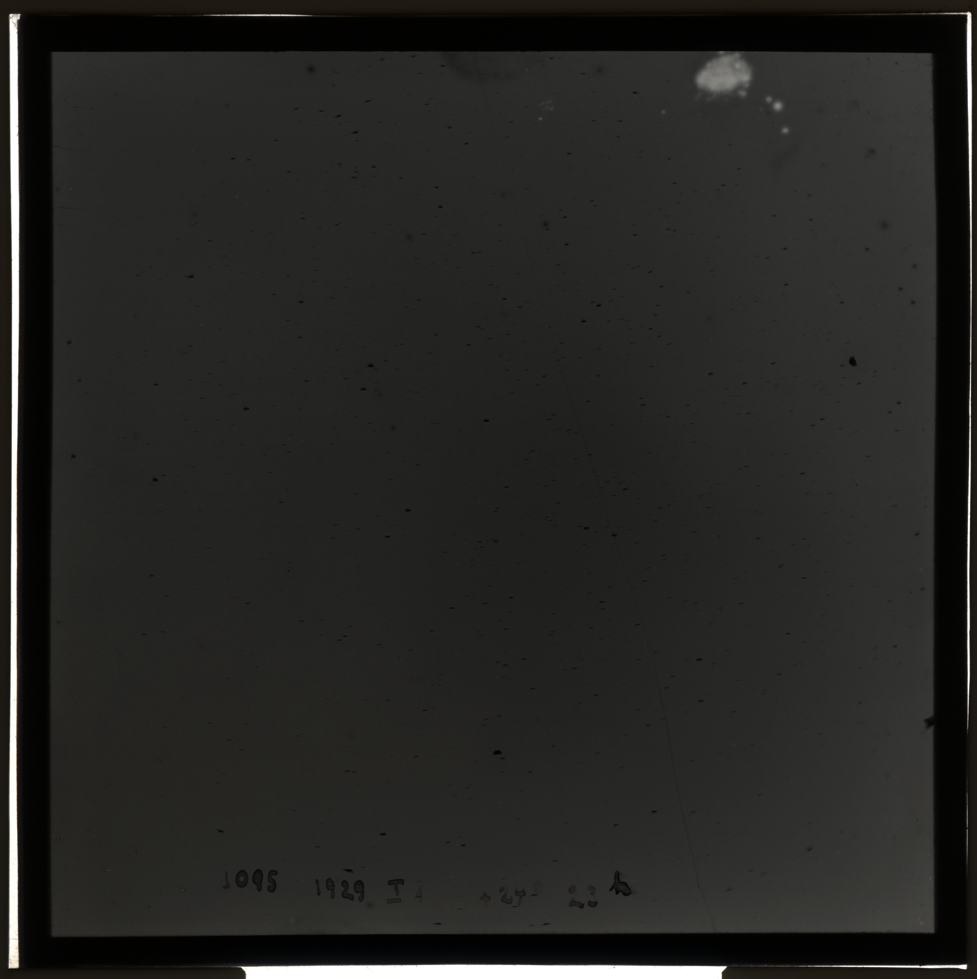 Plate preview