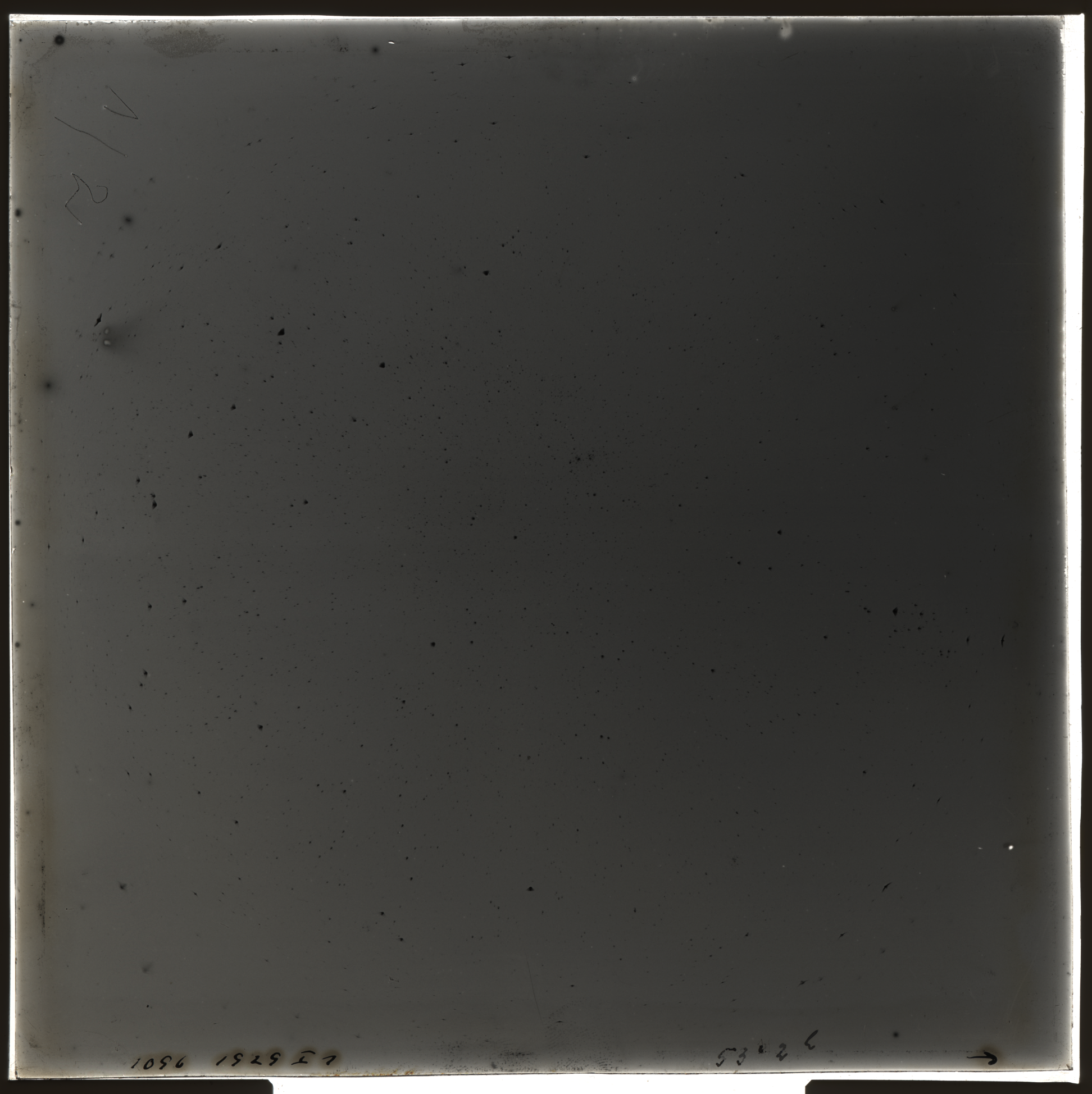 Plate preview
