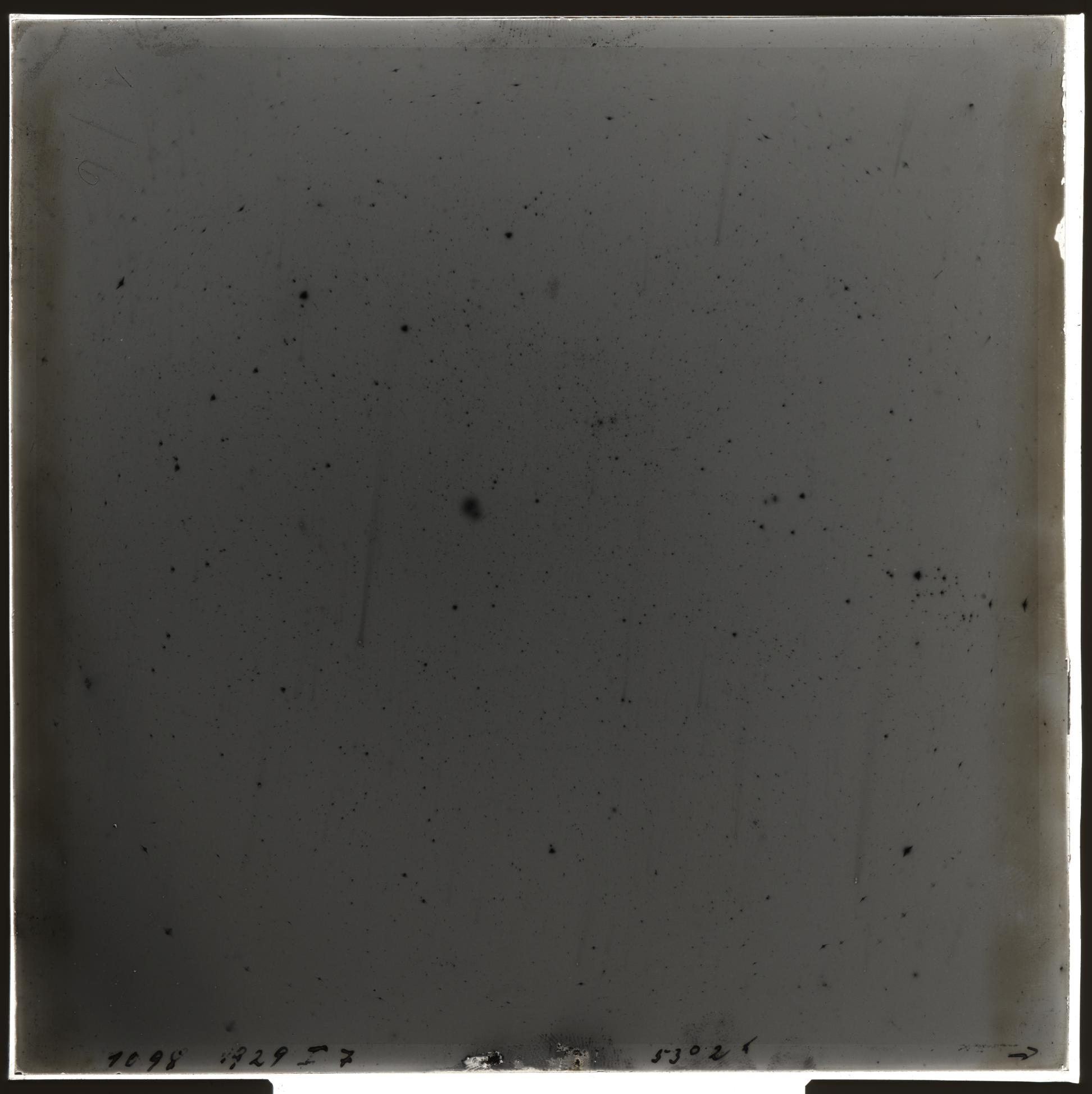 Plate preview