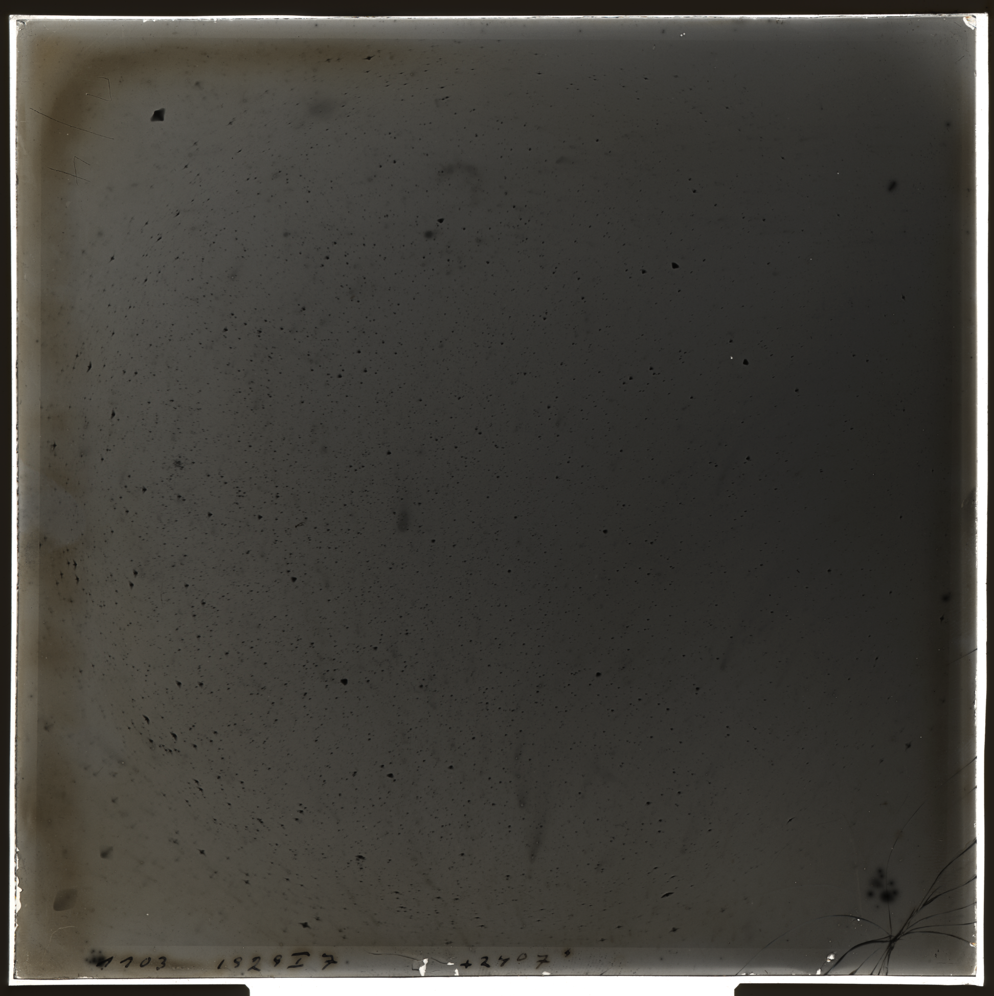 Plate preview
