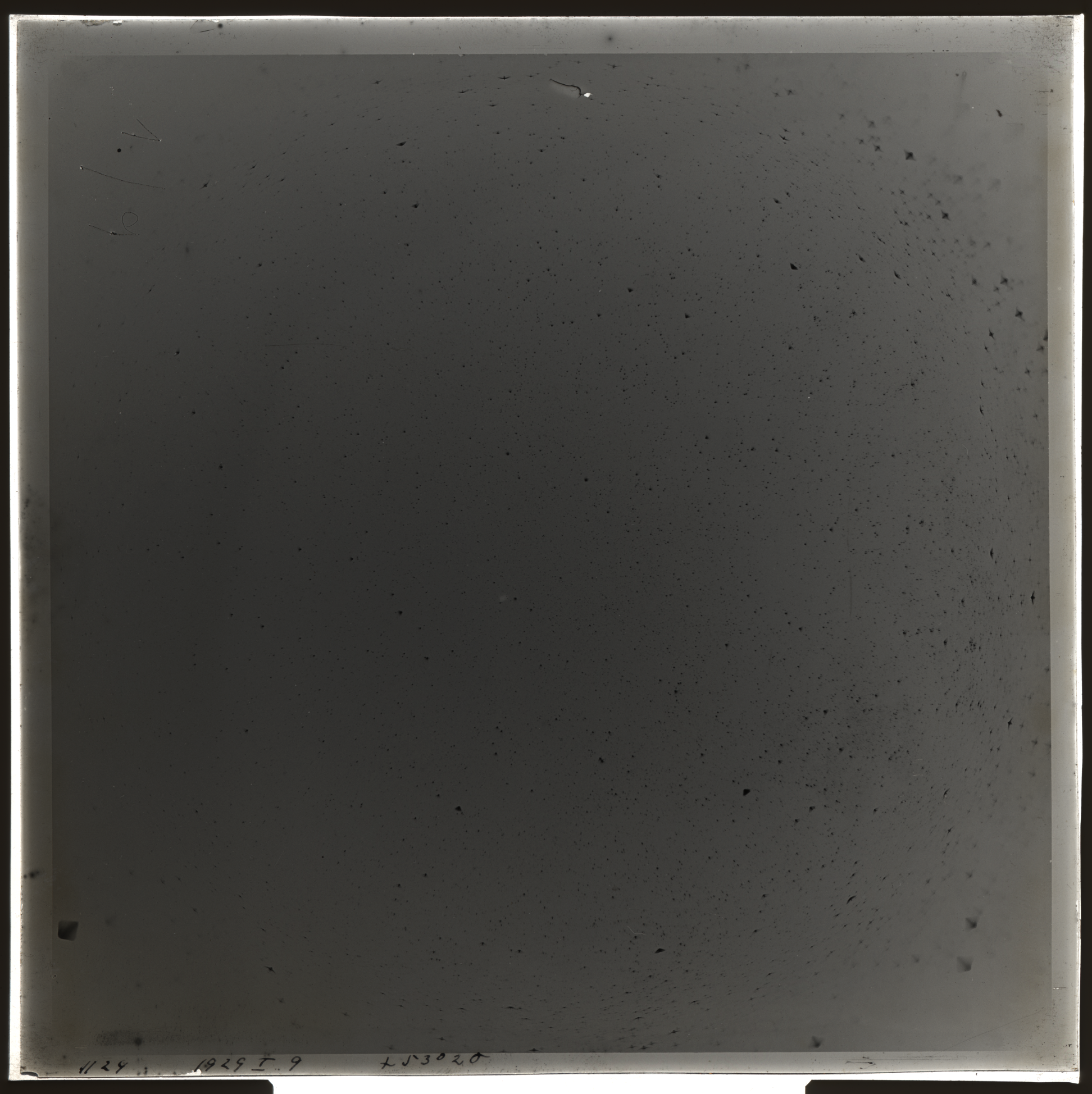 Plate preview
