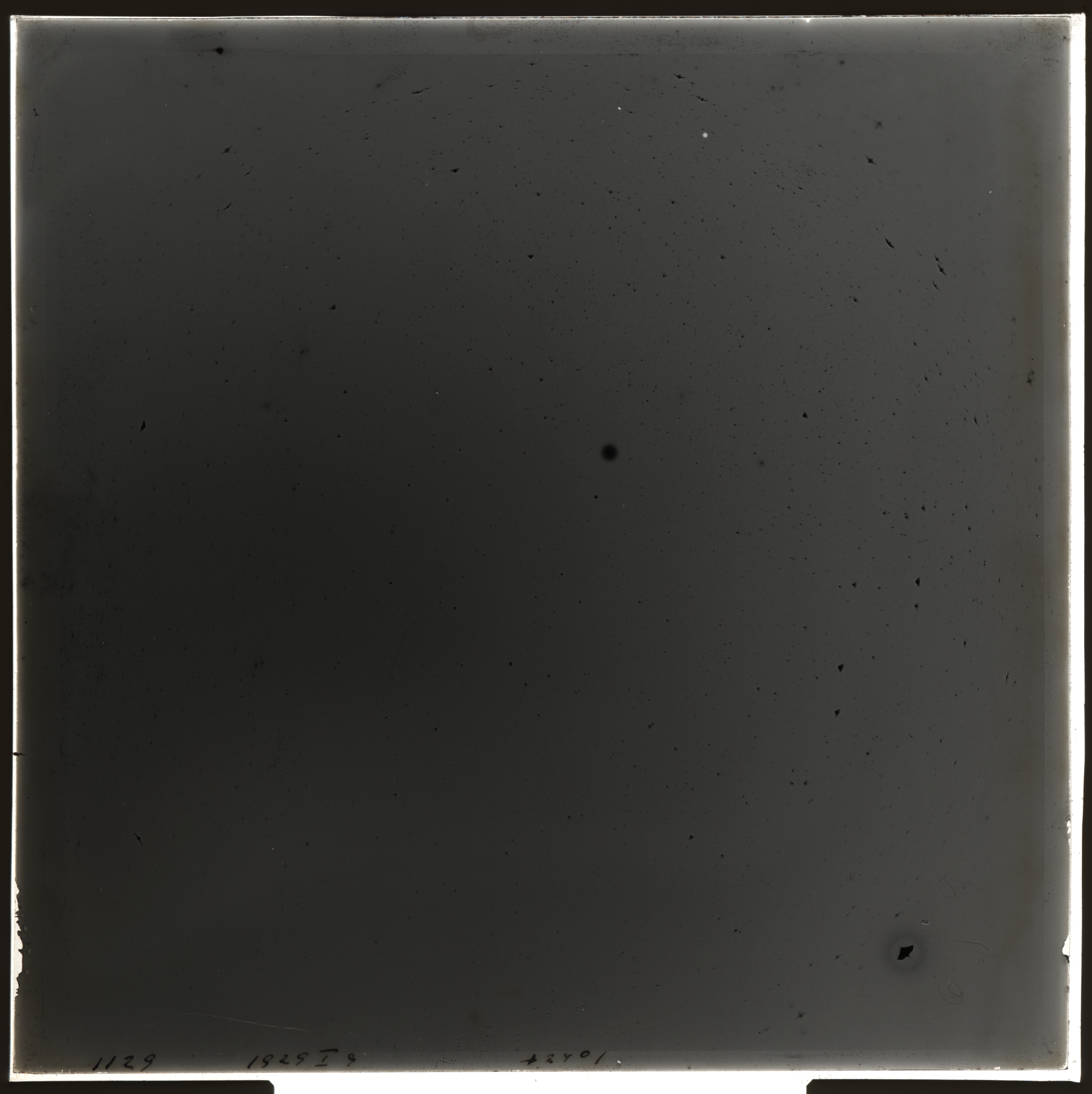 Plate preview