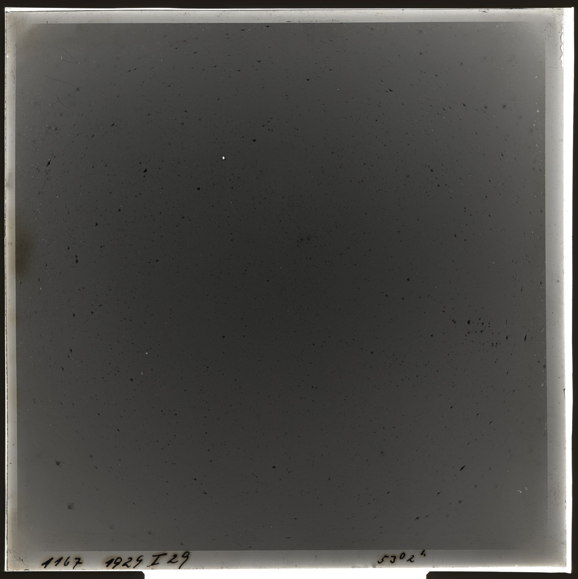 Plate preview