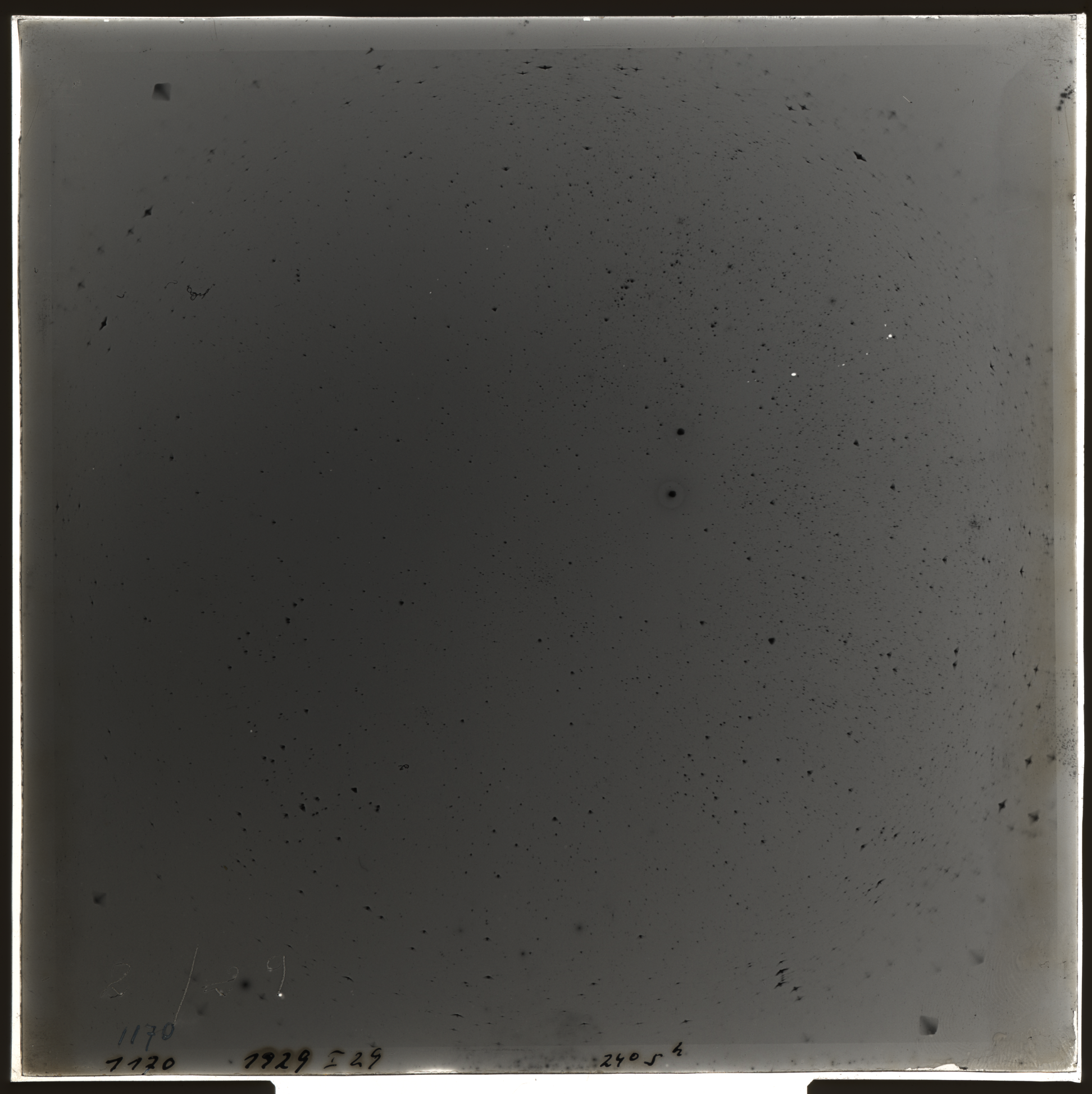 Plate preview