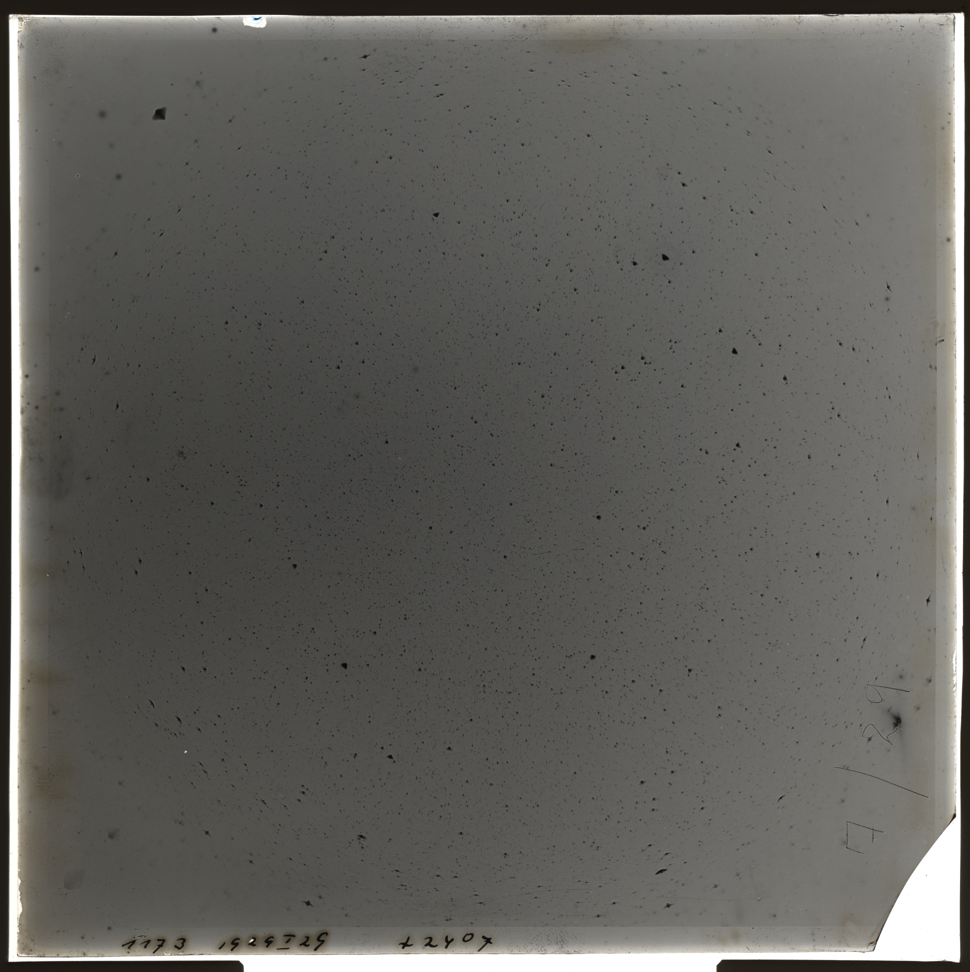 Plate preview