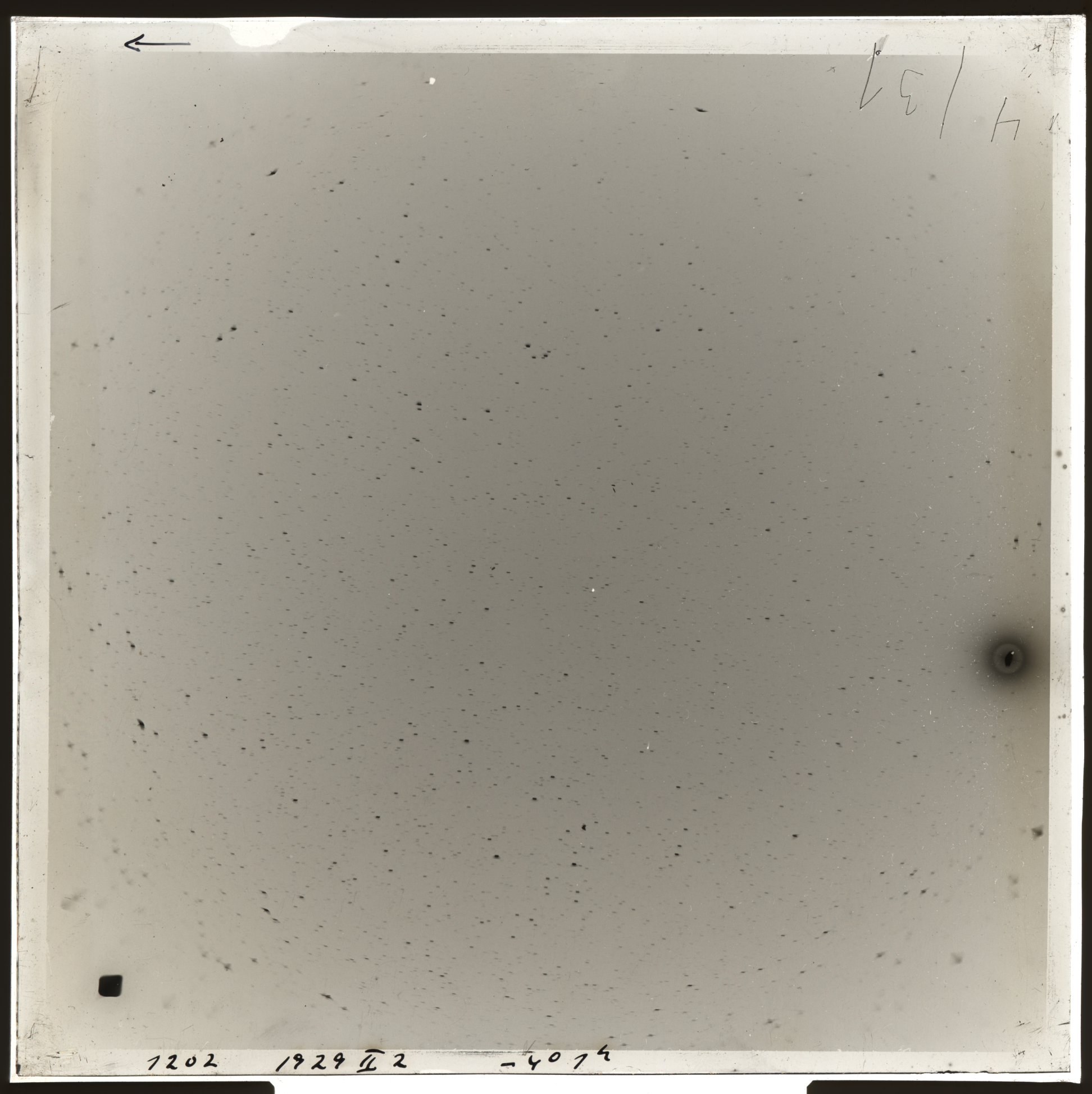 Plate preview