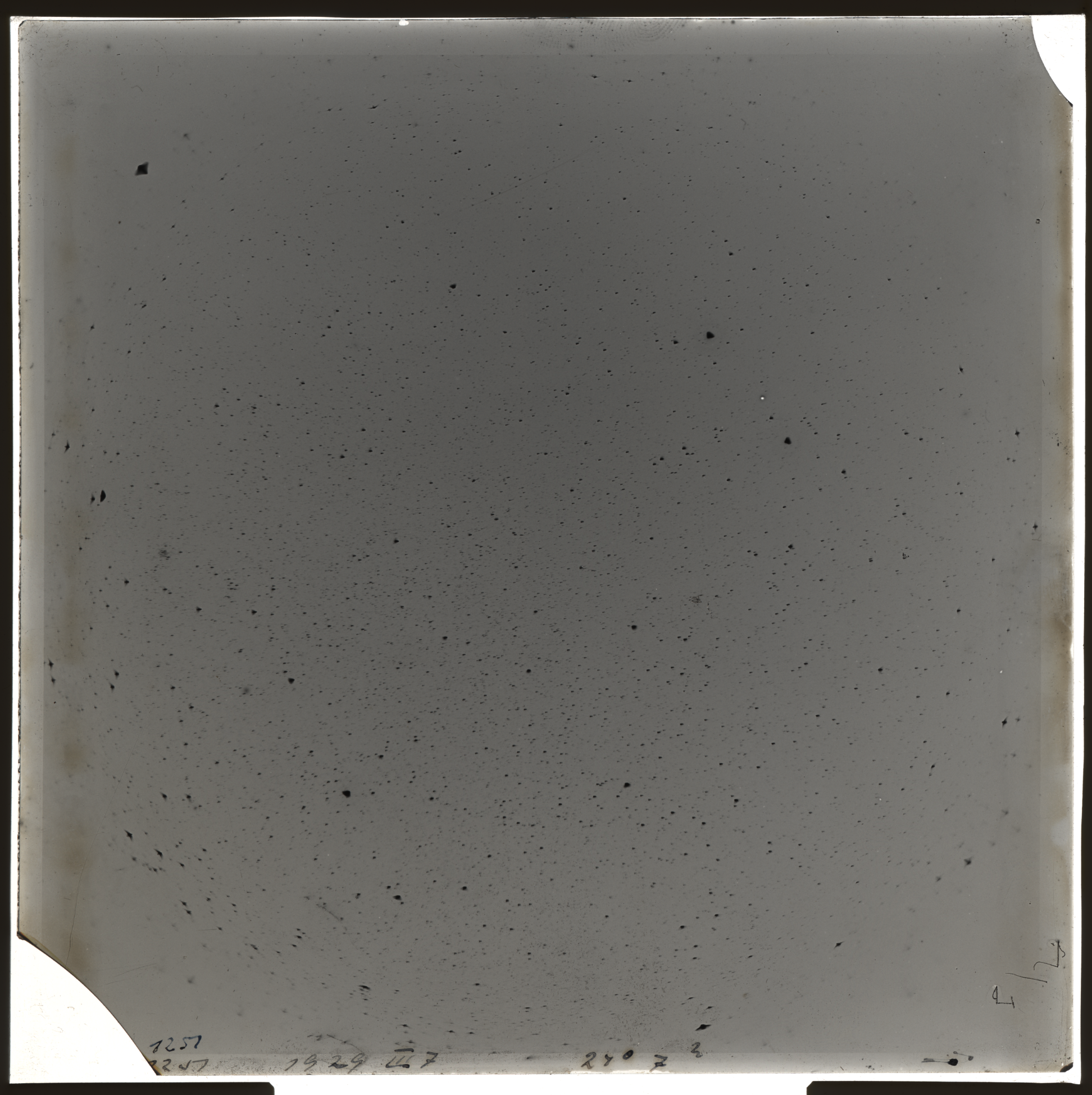 Plate preview