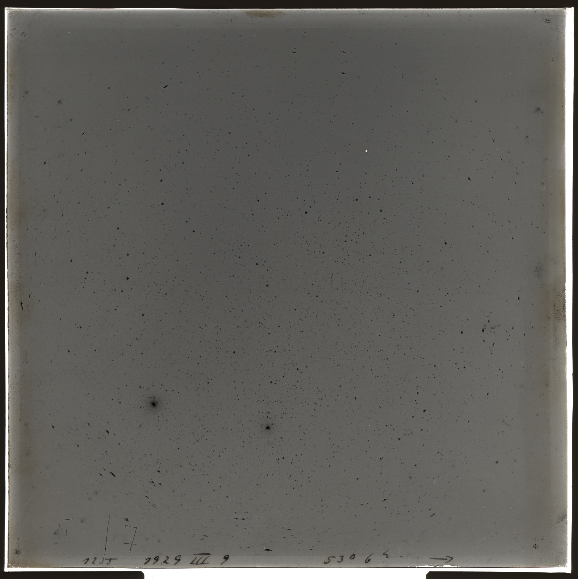 Plate preview