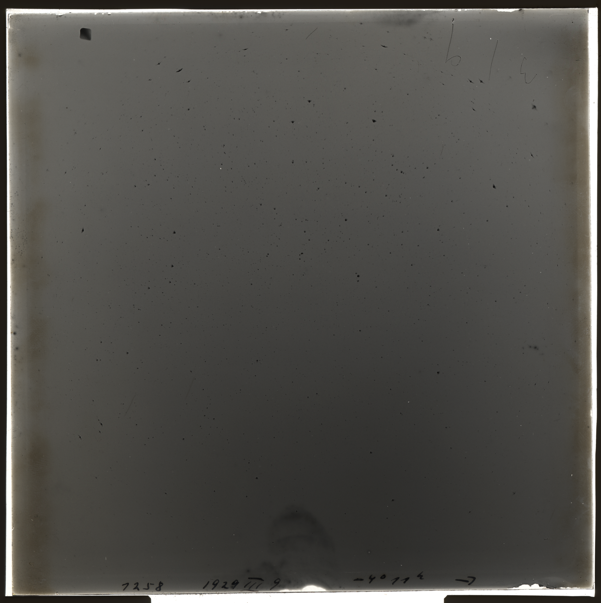 Plate preview