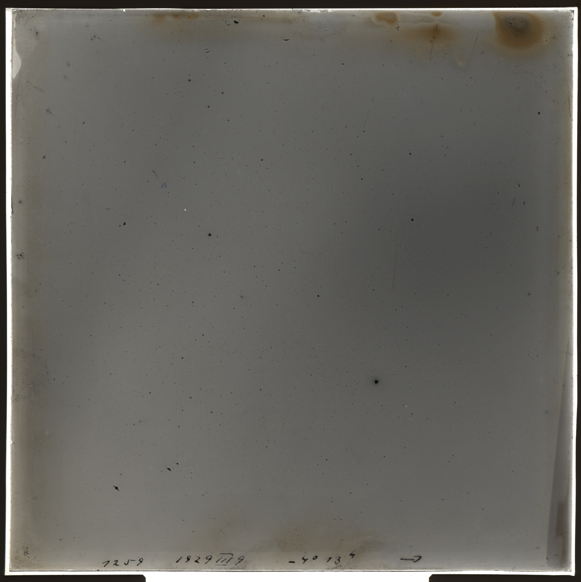 Plate preview