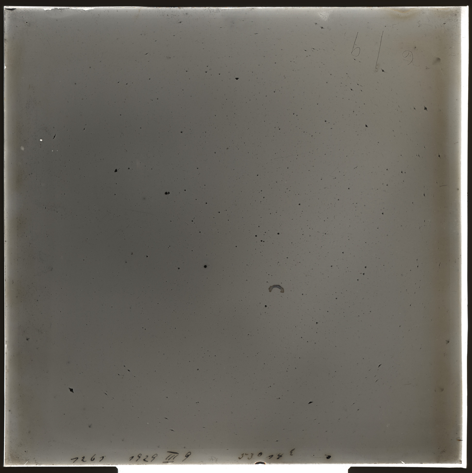 Plate preview