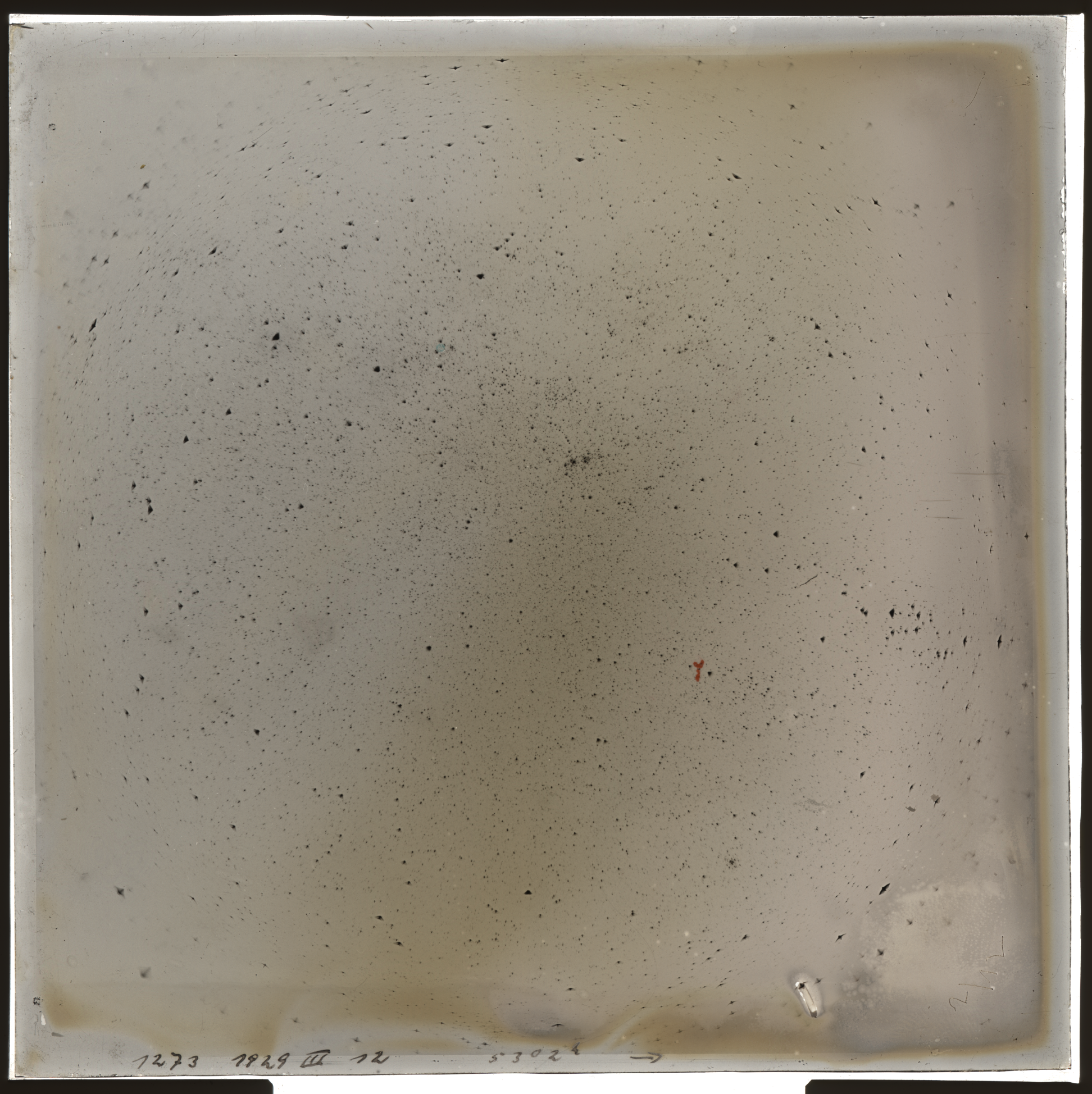 Plate preview