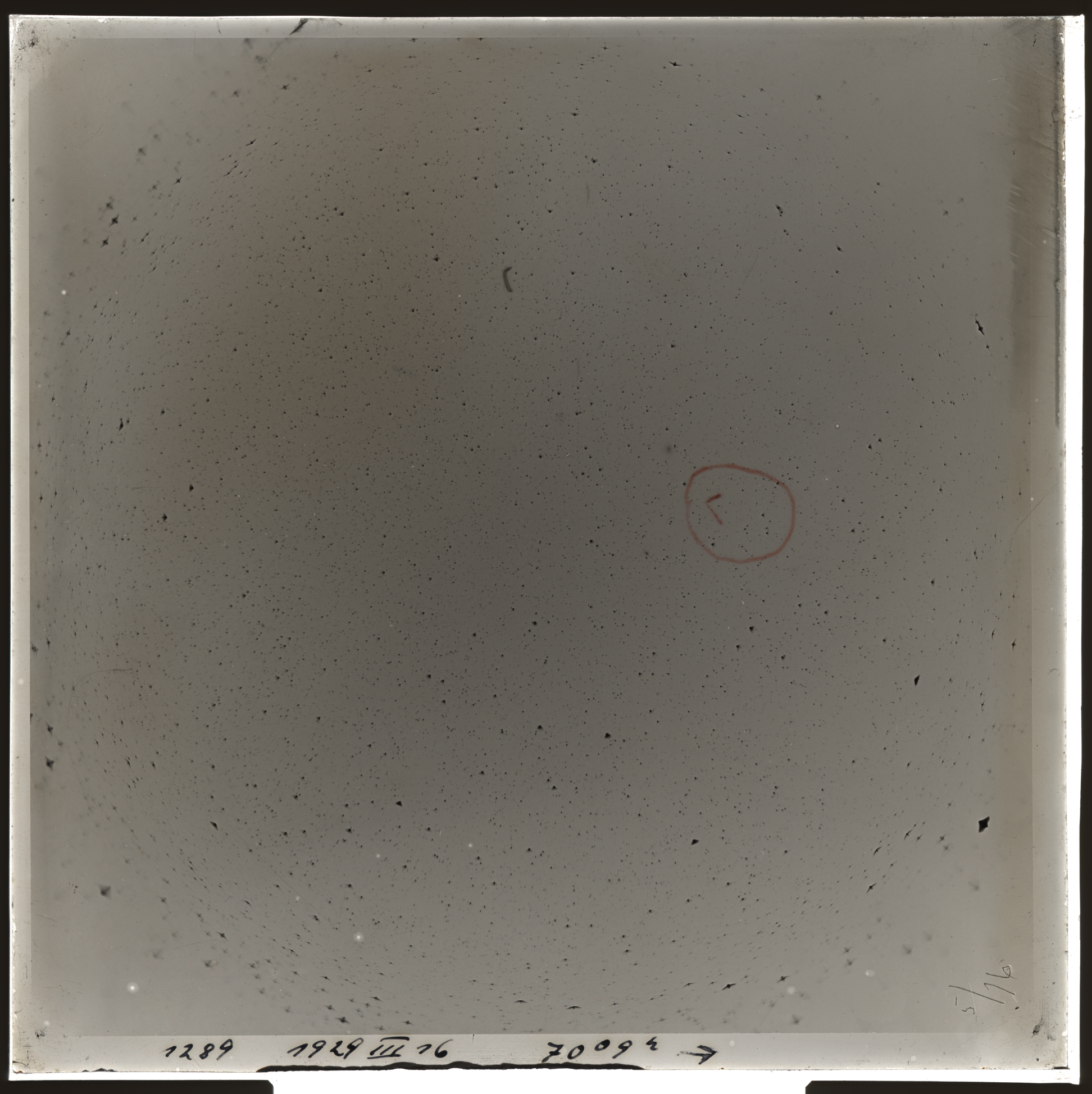 Plate preview
