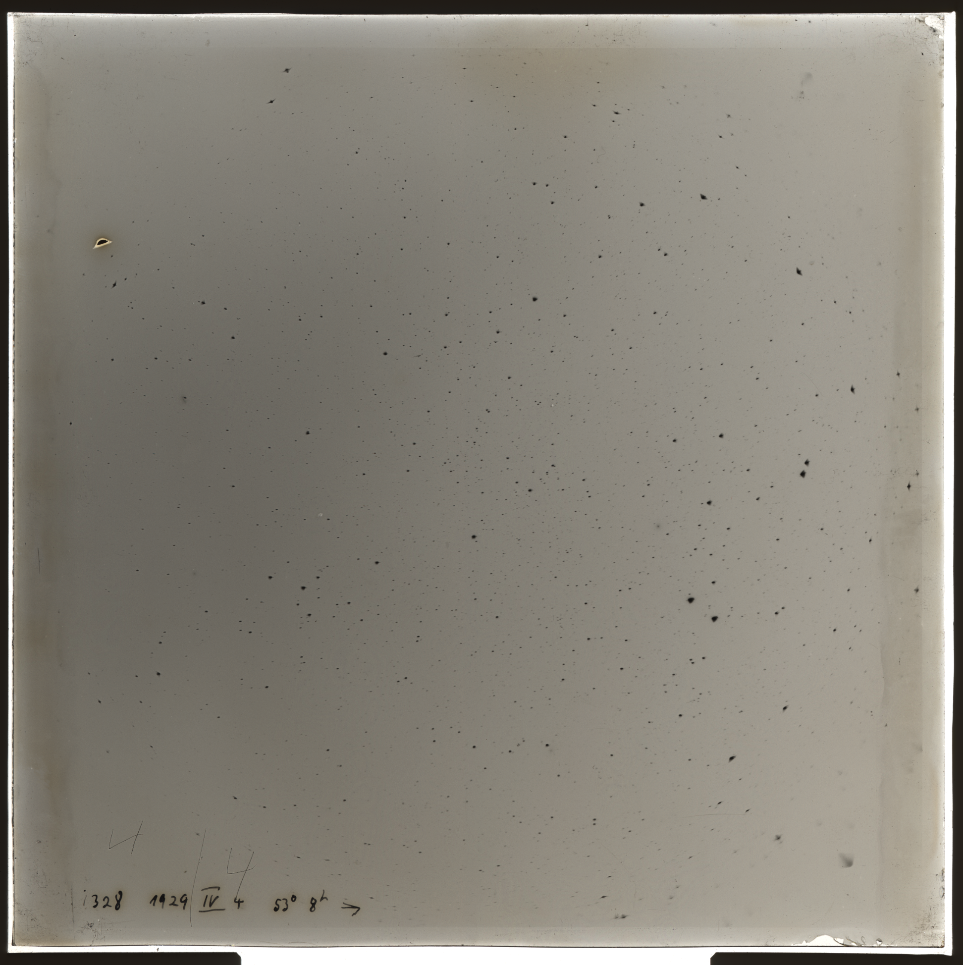 Plate preview