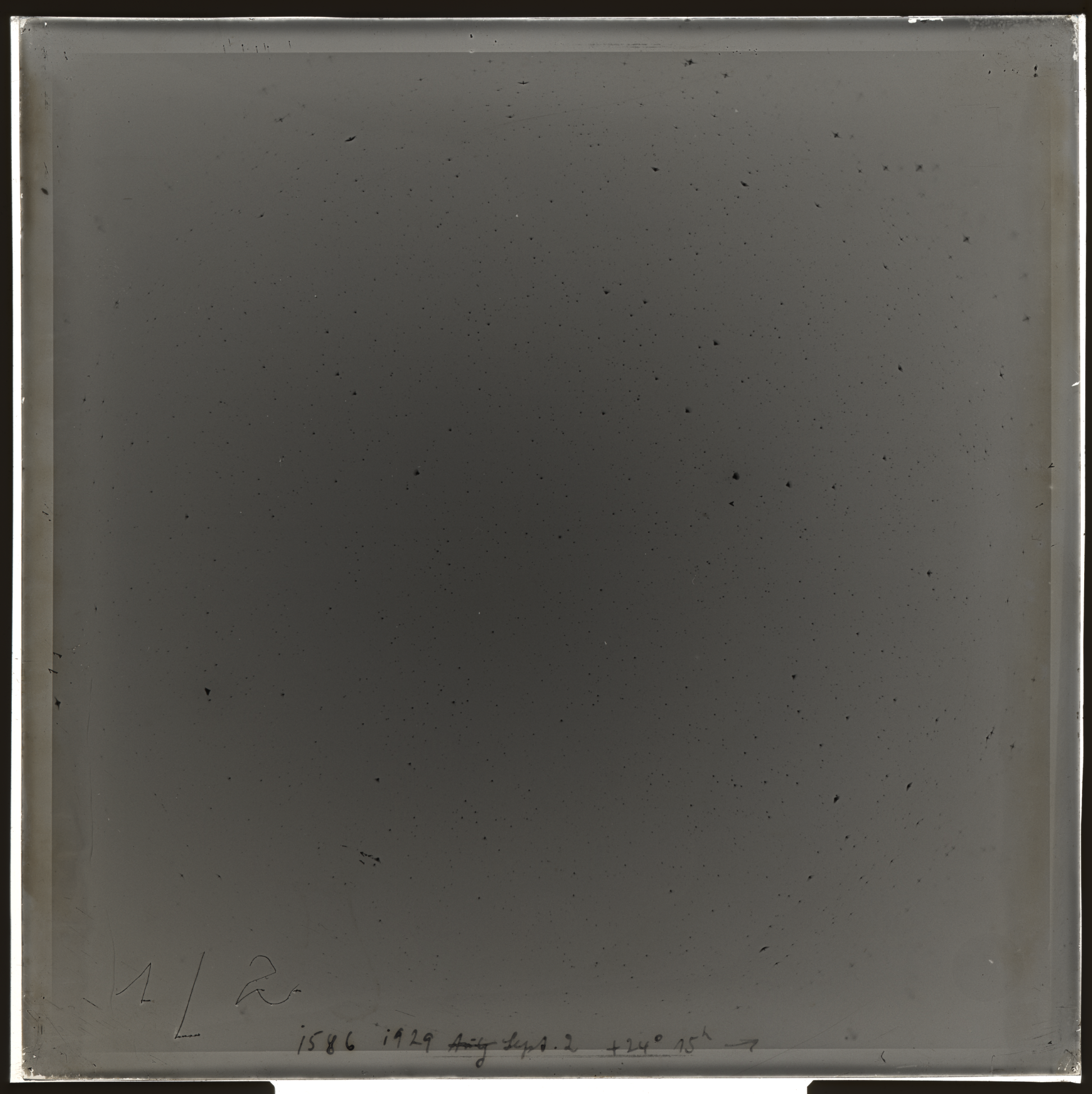 Plate preview