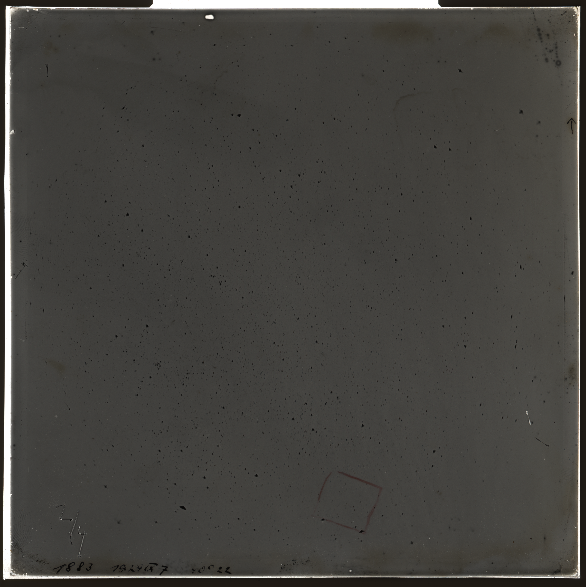 Plate preview